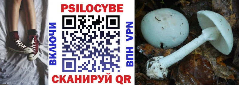 ОМГ ОМГ вход  Гремячинск  Псилоцибиновые грибы Psilocybe 